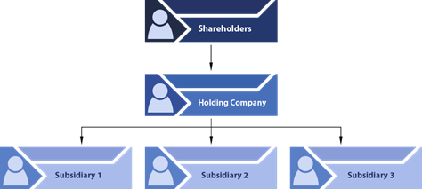 ساختار شرکت های هلدینگ